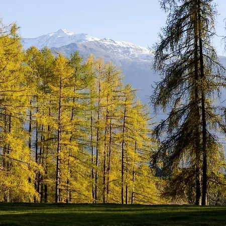 Carina's Appartement Obsteig