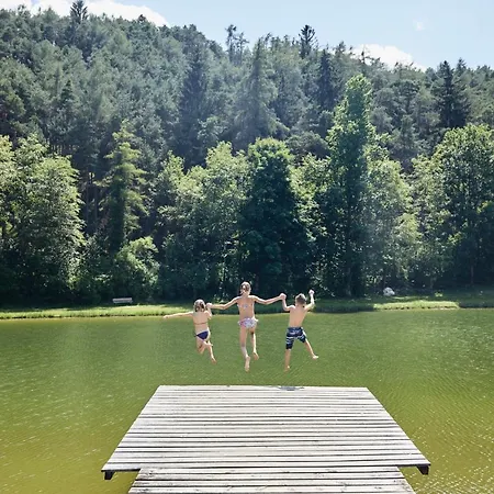 Carina's Appartement Obsteig