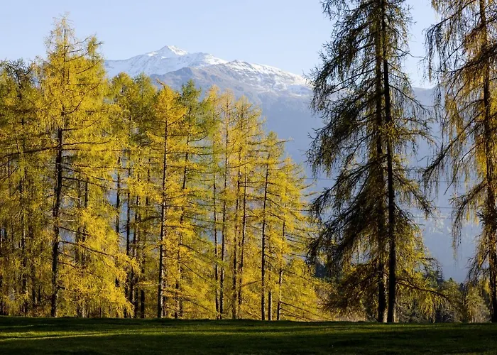 Carina's דירה אובשטייג