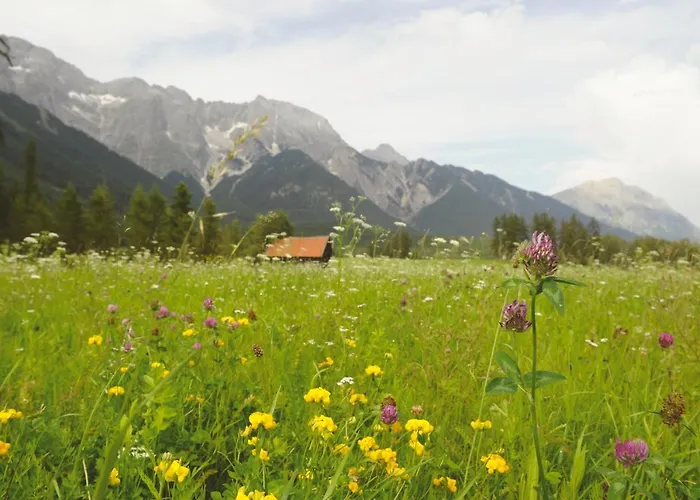 Carina's Apartment *